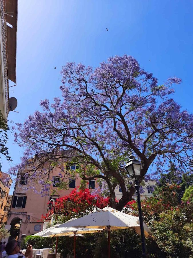 Jacaranda Corfu Old Town Corfu (city)